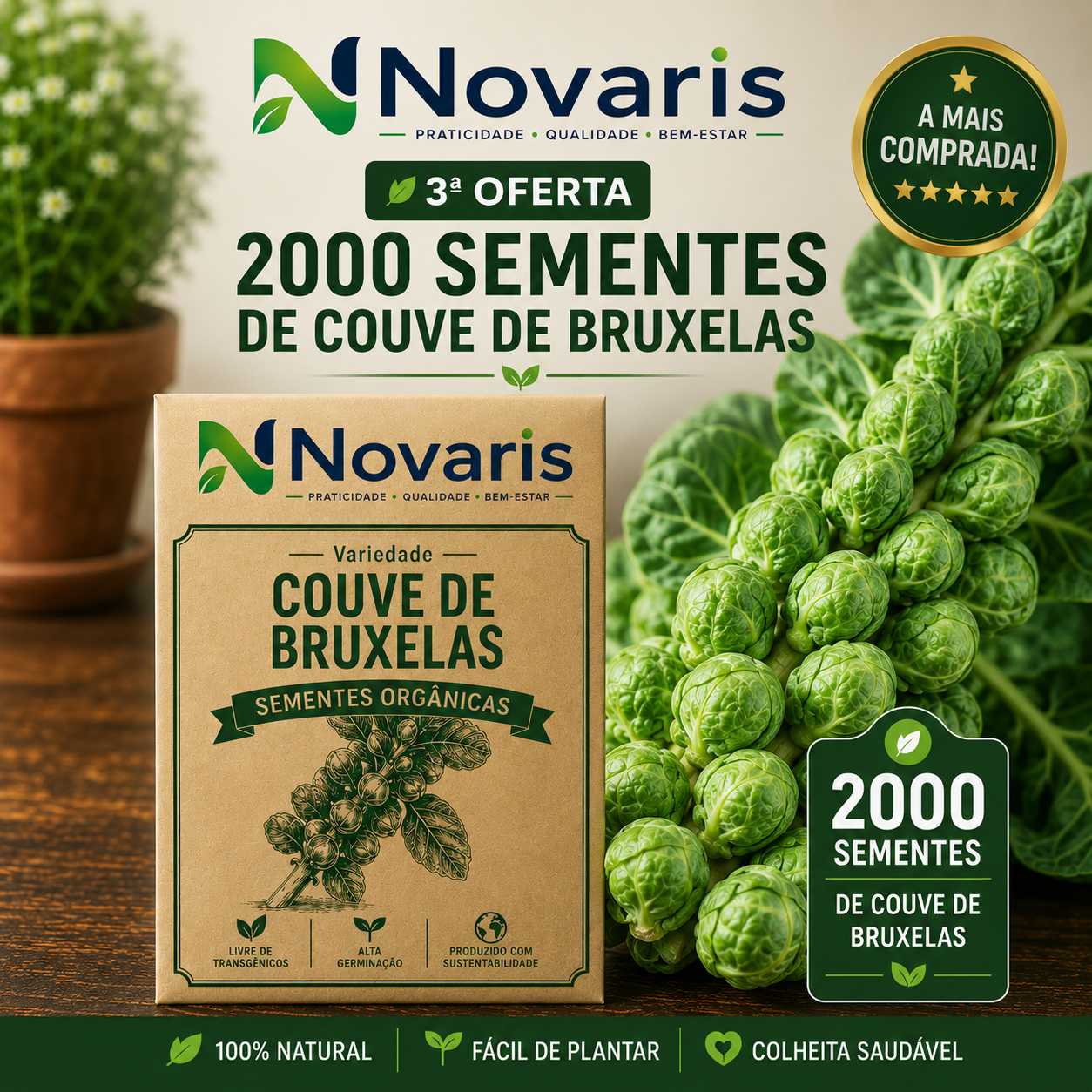 2000 sementes de couve de Bruxelas Novaris